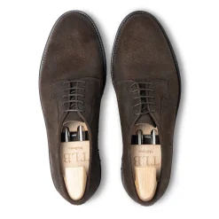 TLB Mallorca Main Collection | Derby-DAMON II